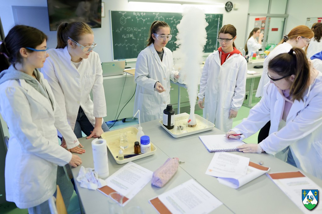 Kroz centre izvrsnosti u Đurđevcu Koprivnici i Križevcima Županija potiče darovitost učenika