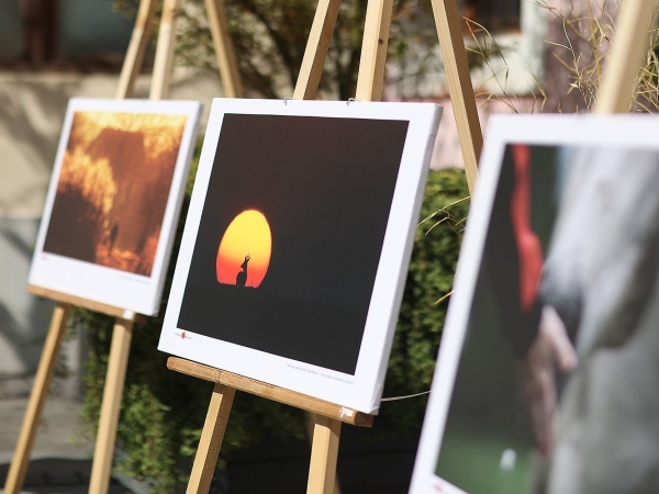 Glasanje publike za najbolju fotografiju foto natječaja &bdquo;Volim svoju županiju&ldquo; je otvoreno