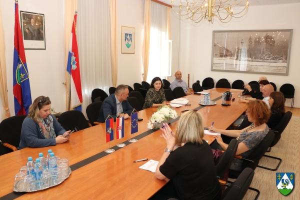 Usvojen Godišnji plan rada Županijskog tima za sprečavanje nasilja nad ženama i u obitelji