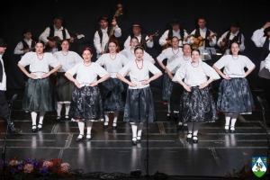 Proslava zajedni&scaron;tva, tradicije i kulture na svečanom koncertu &bdquo;Glazbena &scaron;etnja kroz županiju&ldquo;